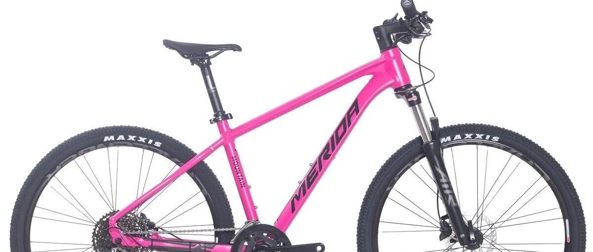 美利达挑战者300‖经典永续 全新登场