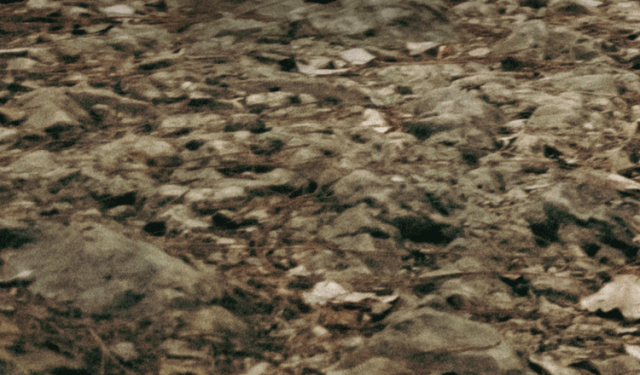 [2023-03-17]寻觅自然与山同行丨全新山地车骑行穿搭上线