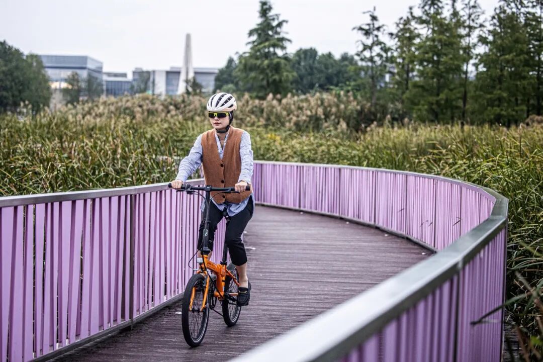 终极大魔王经典再续ARCHERP8折叠车横向测评