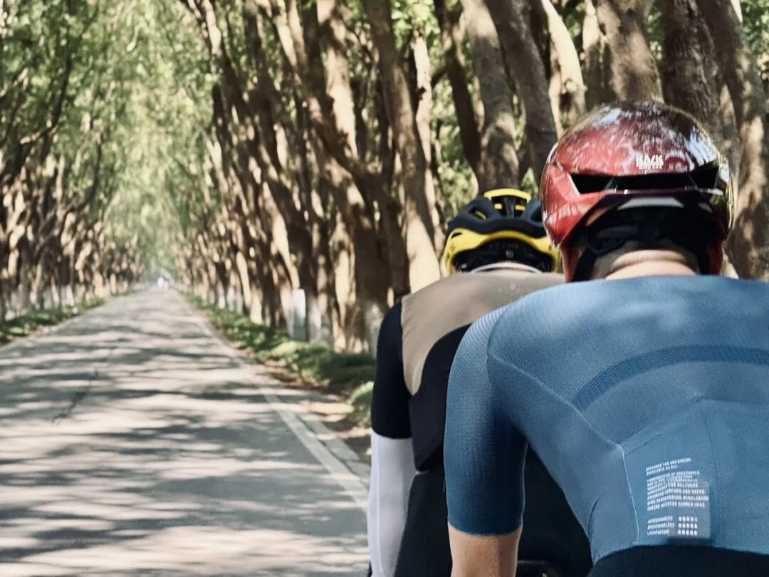 MCC710G530龙腾大道晨骑