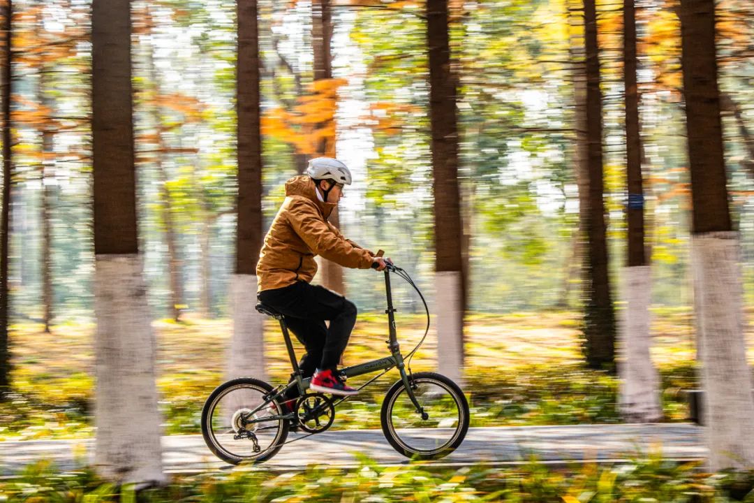 [2025-05-28]高速大沙发性能小钢炮DAHON大行ARCHERP8折叠车横向测评