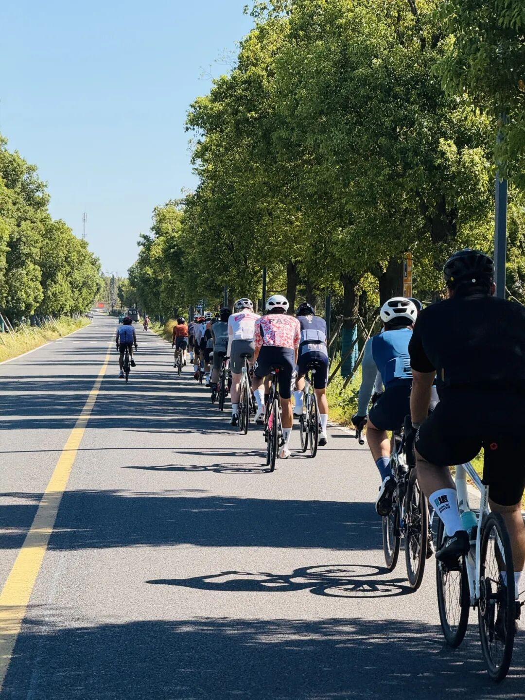 MCC长三角活动丨9697莫干山度假骑游