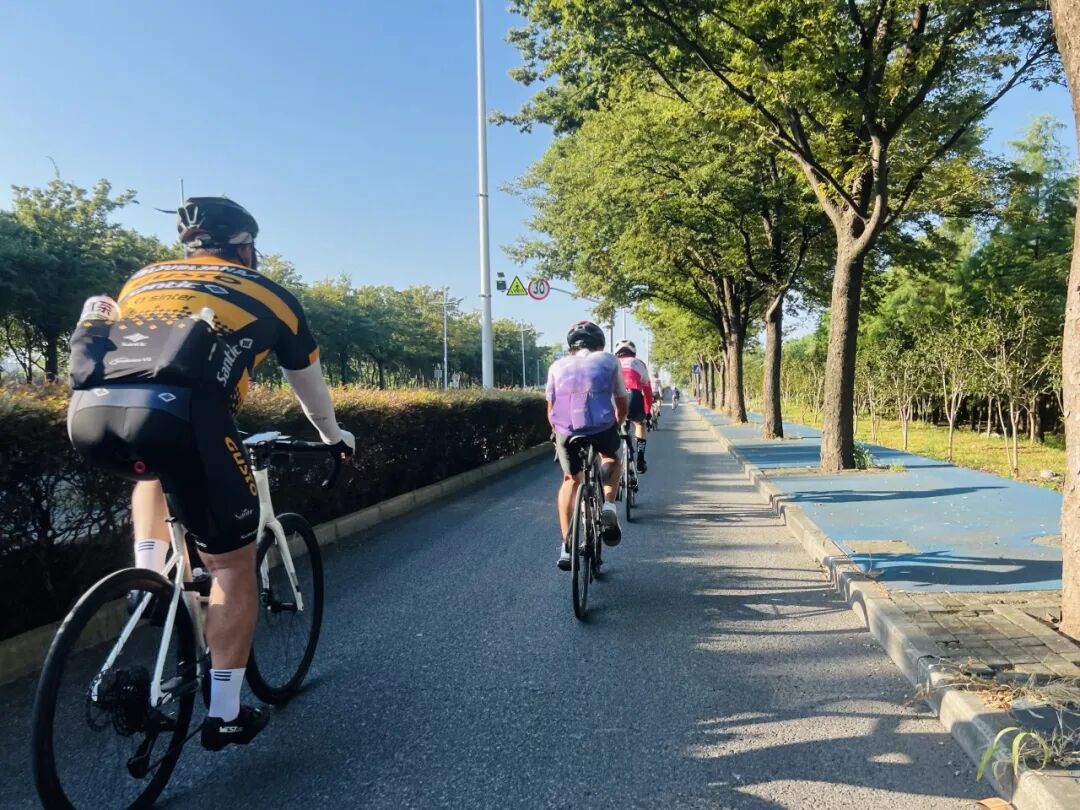 MCCPowster丨830G530七夕绘爱心骑行袜福利送送送