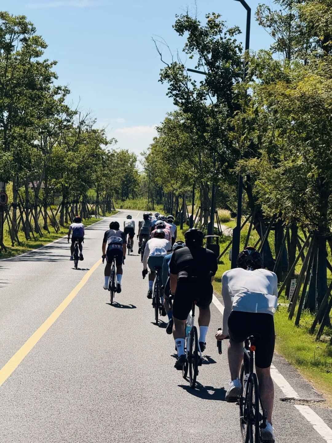 MCC长三角丨823崇明岛骑游