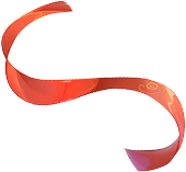 [2025-06-04]美利达诺飞客车队徐兆亮闪耀赛场创造历史