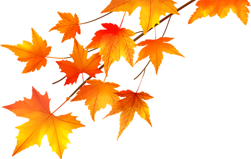 终极大魔王经典再续ARCHERP8折叠车横向测评