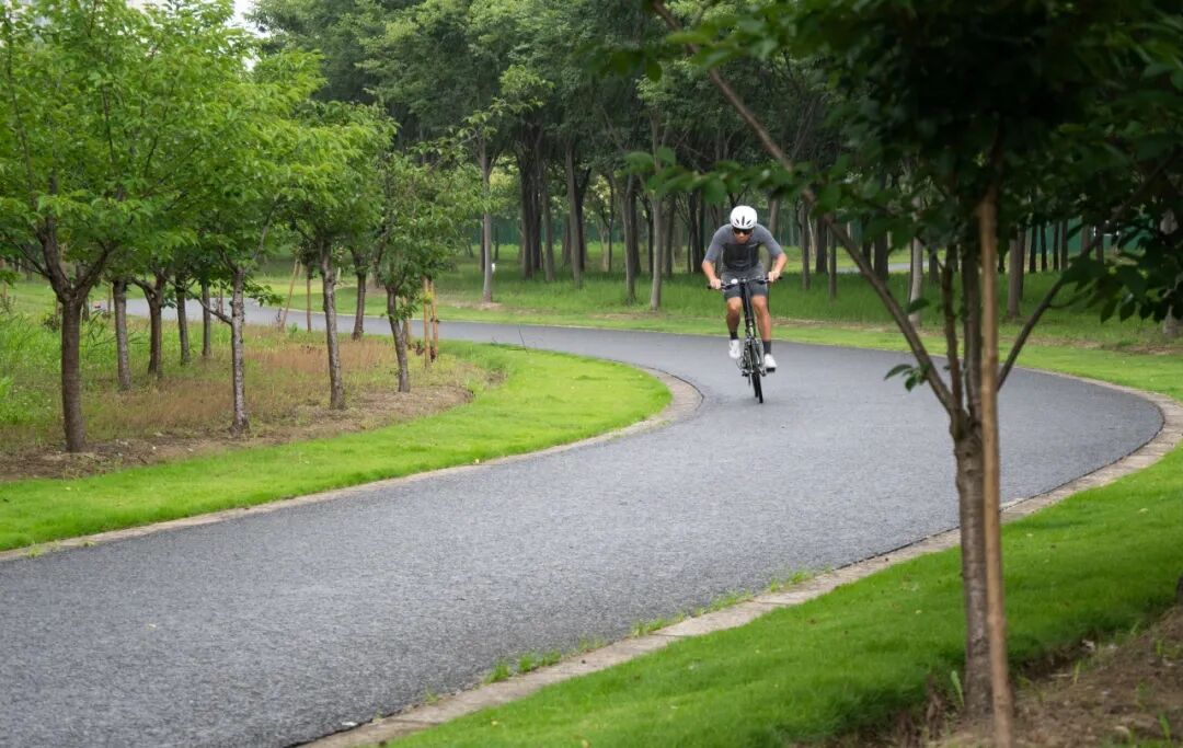 [2025-07-14]快车道技术加持大行VIGORLT演绎高端折叠车速度之美