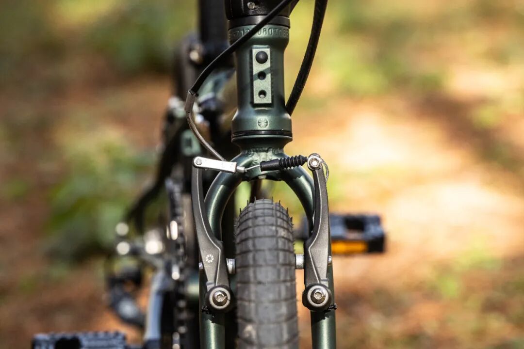 [2025-05-28]高速大沙发性能小钢炮DAHON大行ARCHERP8折叠车横向测评