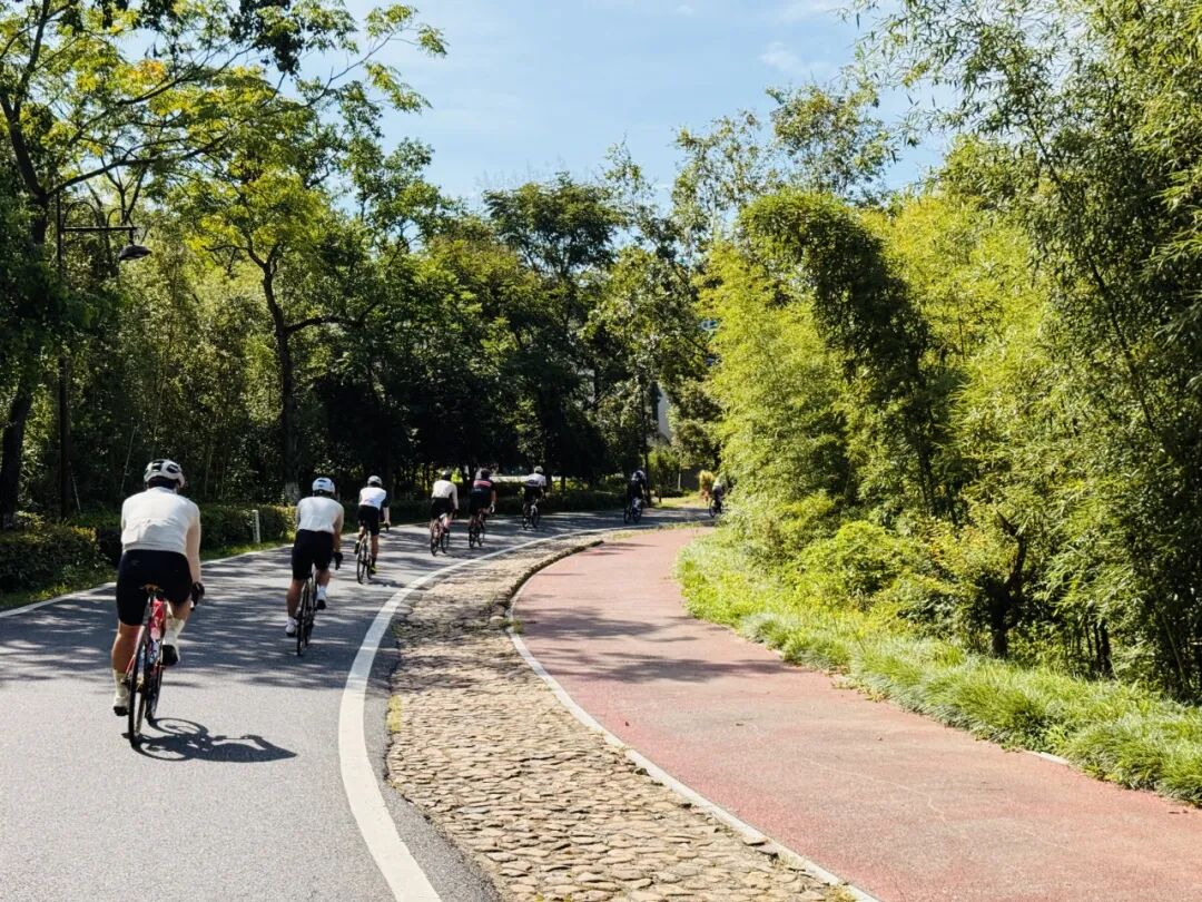 MCC816G530双桥绕圈318对讲机试用