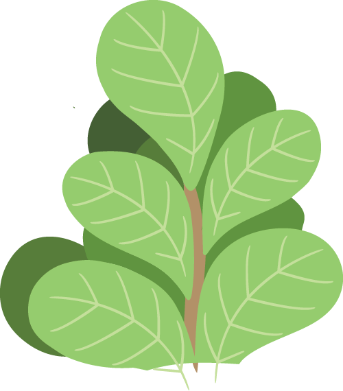 [2025-11-12]告别选择困难新手的第一台折叠车答案就是大行P8