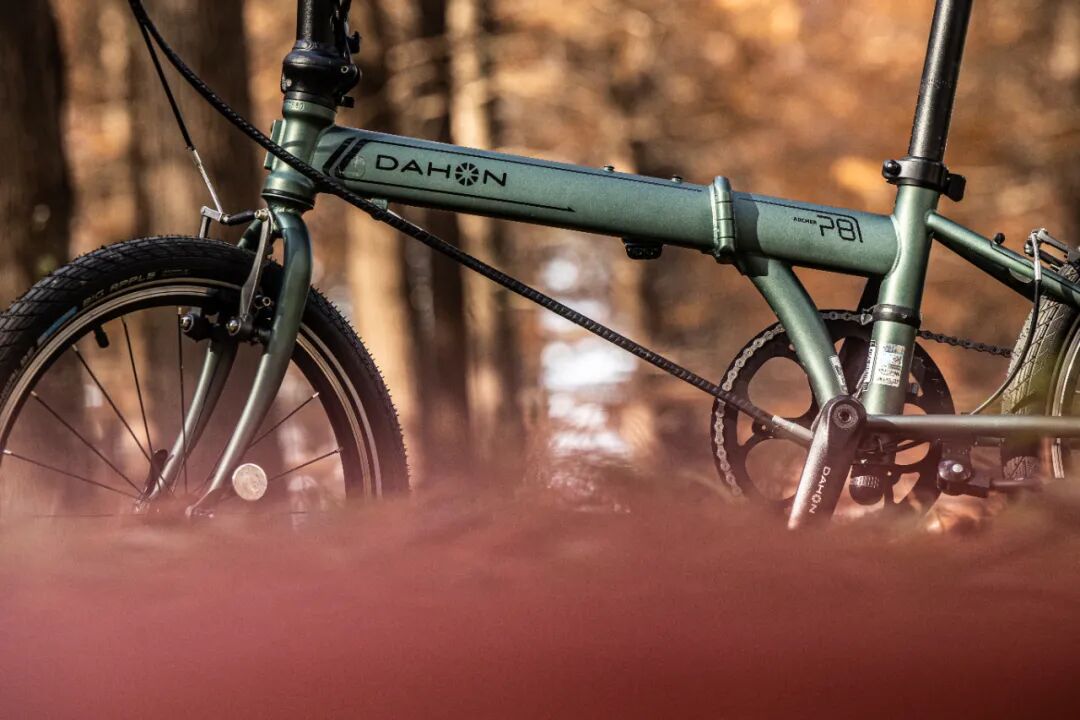 [2025-05-28]高速大沙发性能小钢炮DAHON大行ARCHERP8折叠车横向测评