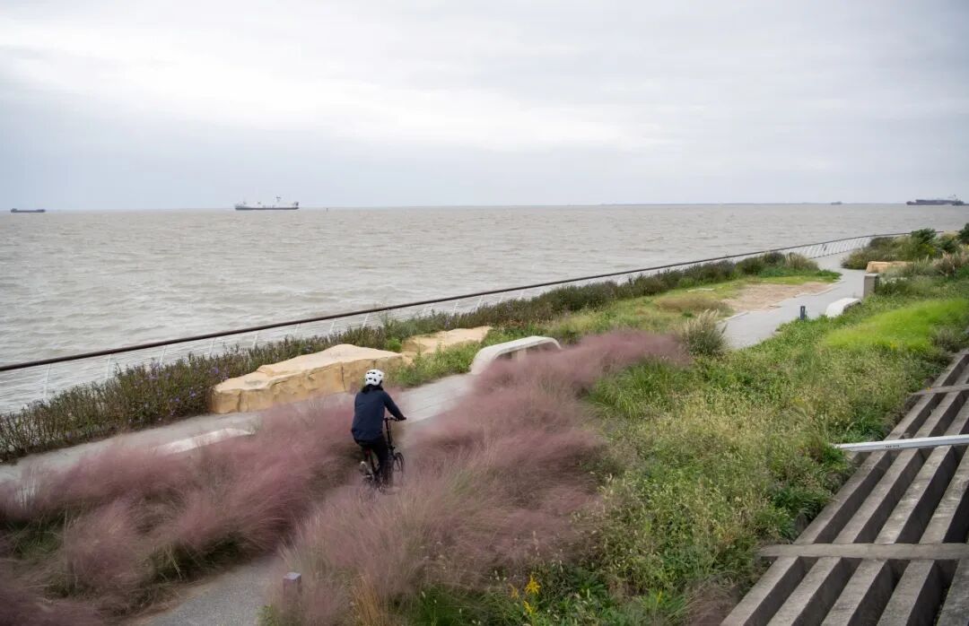 [2025-10-29]轻快之下的平衡艺术2025大行ArcherP8折叠车评测