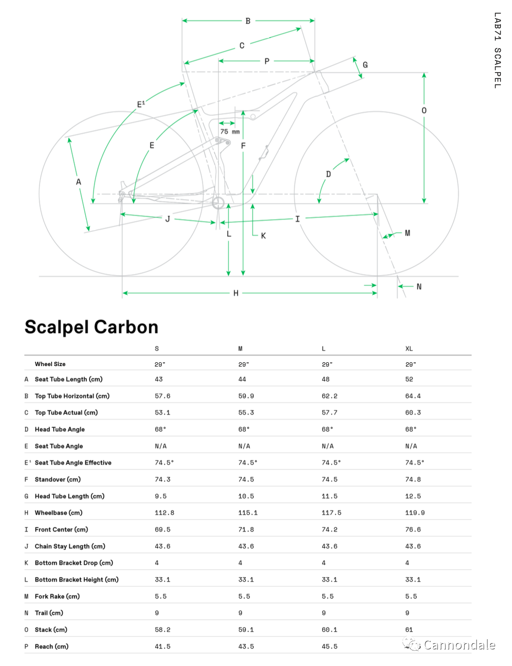 [2023-09-01]LAB71Scalpel