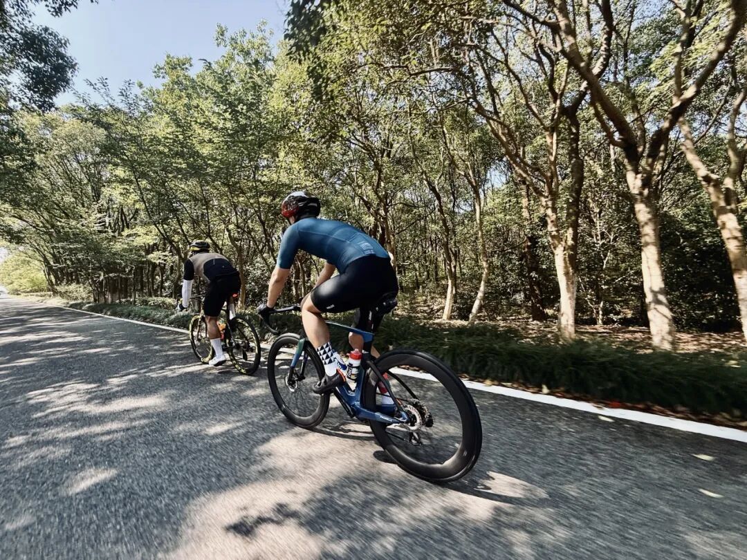 MCC710G530龙腾大道晨骑