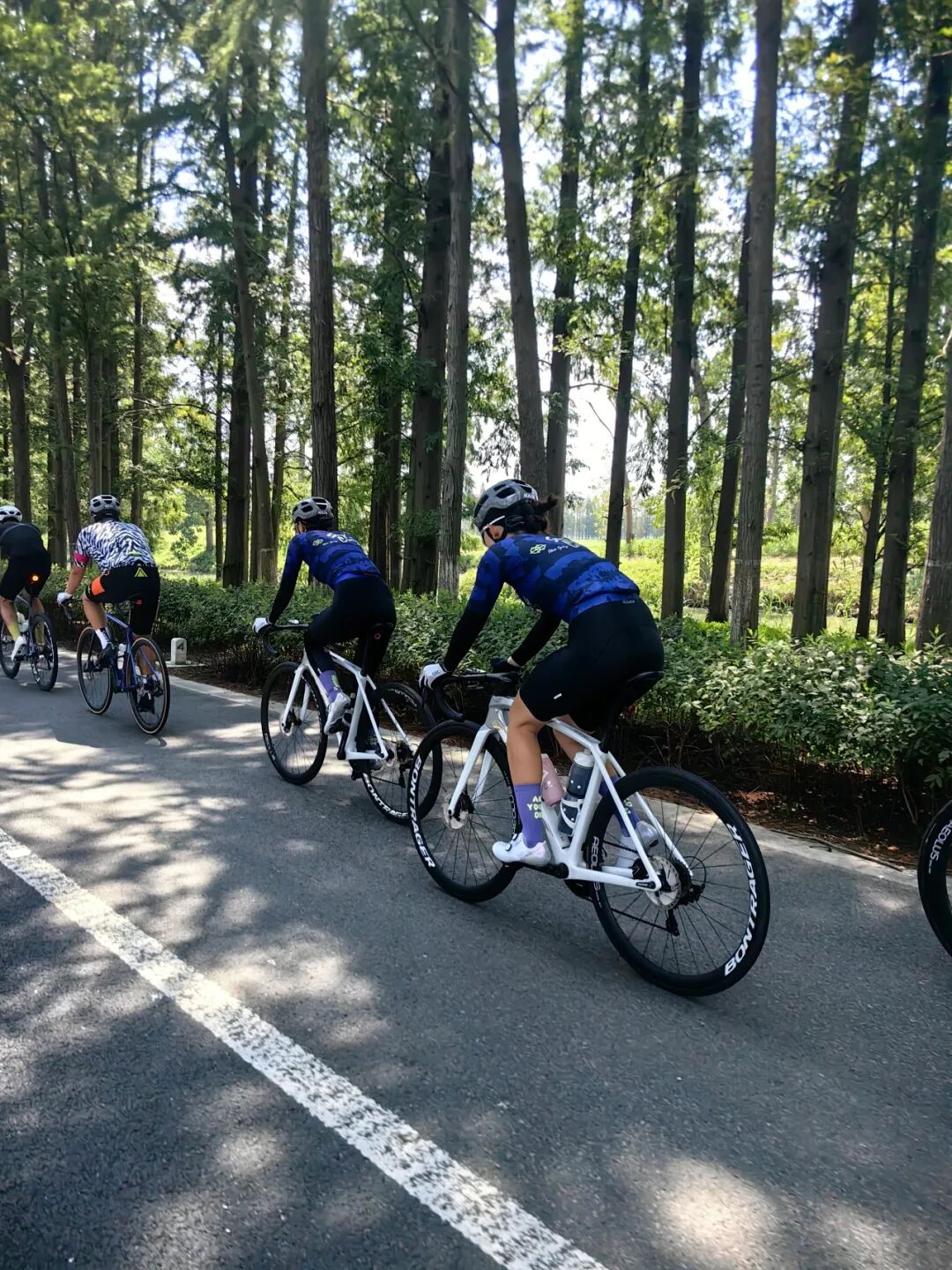 MCCPowster丨830G530七夕绘爱心骑行袜福利送送送