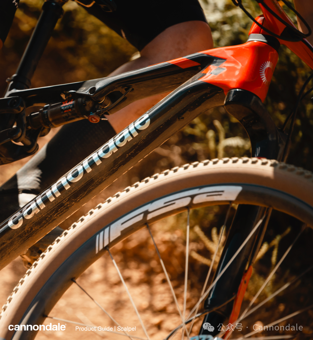 Scalpel一直在最前沿