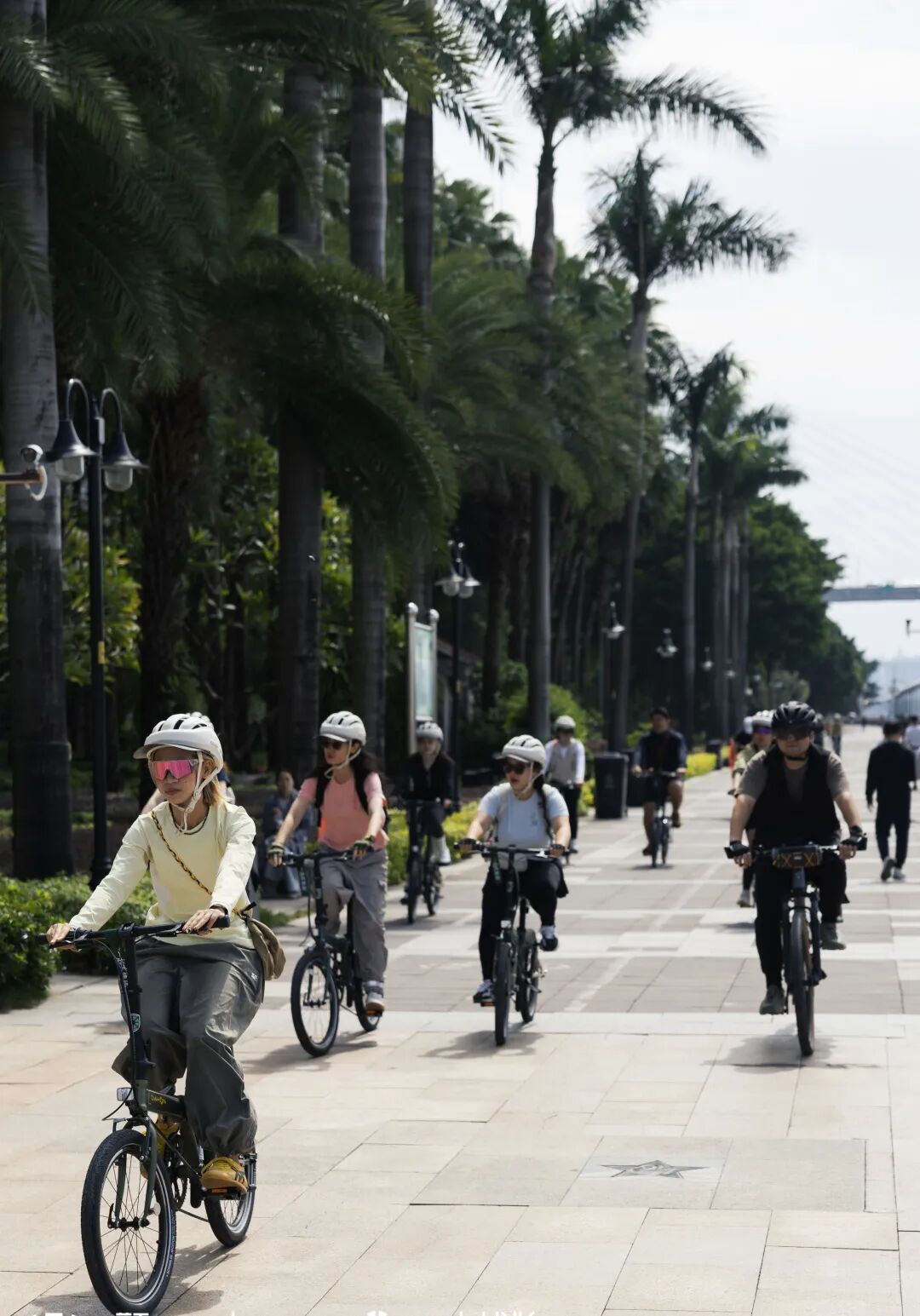 [2025-11-12]告别选择困难新手的第一台折叠车答案就是大行P8