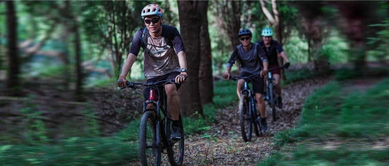 与风相逐 向新出发