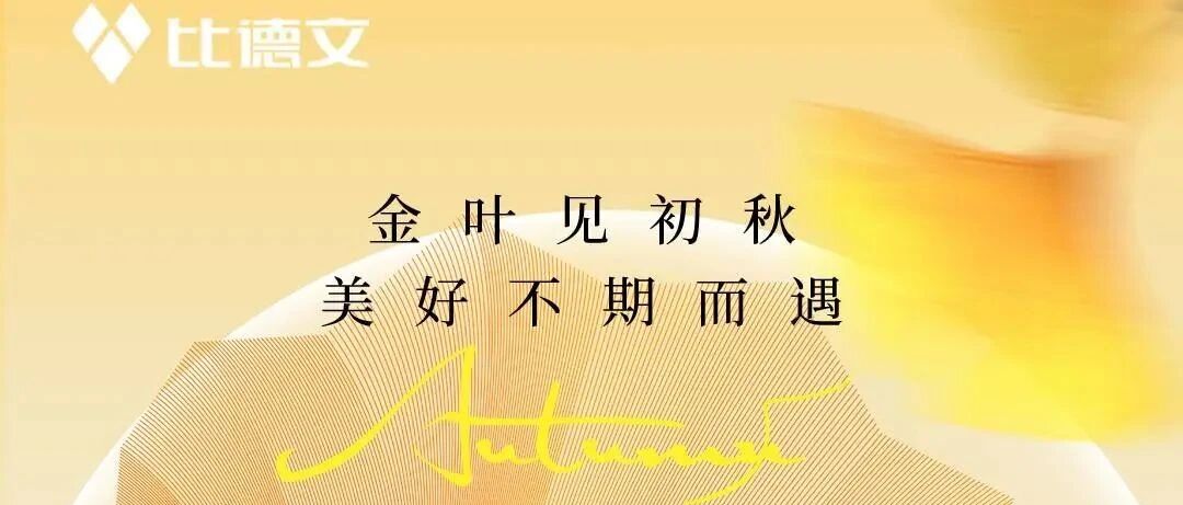 比德文 | 金叶见初秋 美好不期而遇