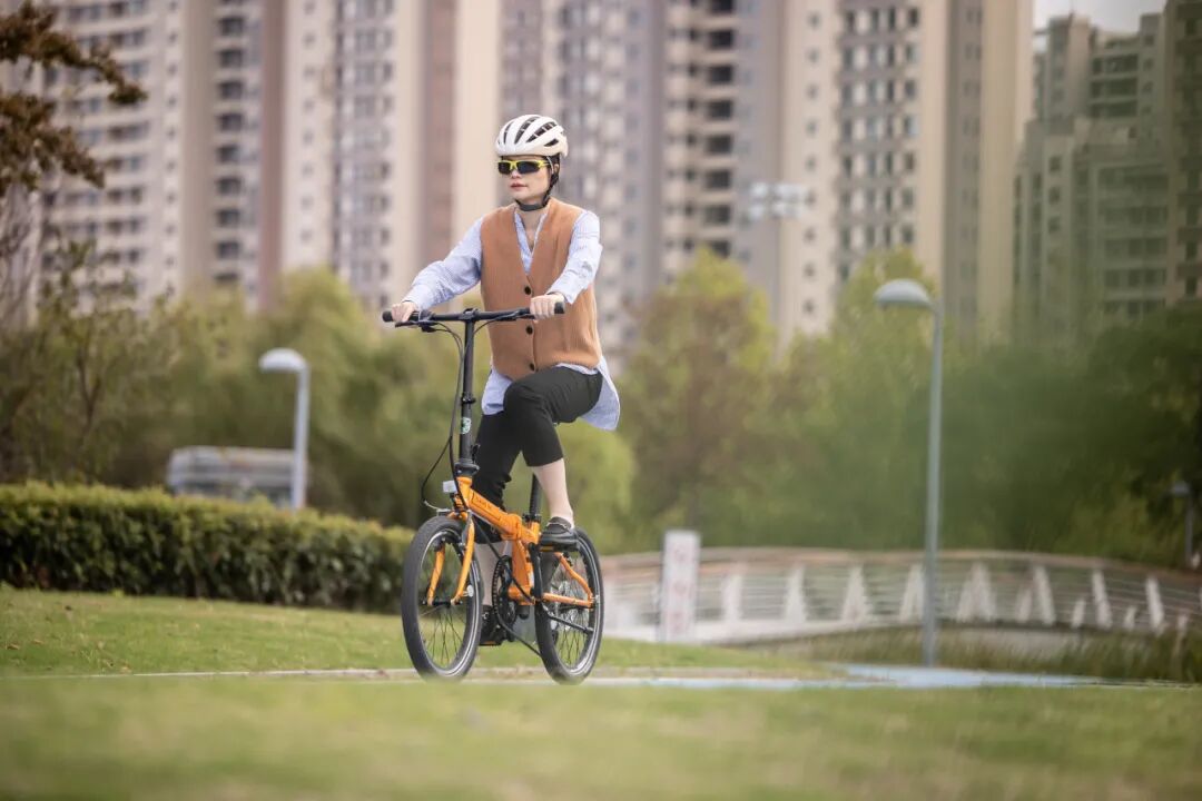 终极大魔王经典再续ARCHERP8折叠车横向测评