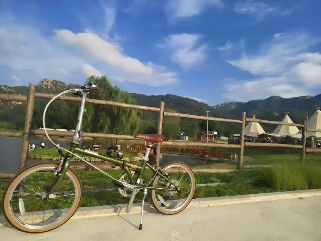 [2025-08-19]我与大行的故事第三季征文大赛作品分享小镇的大行其道