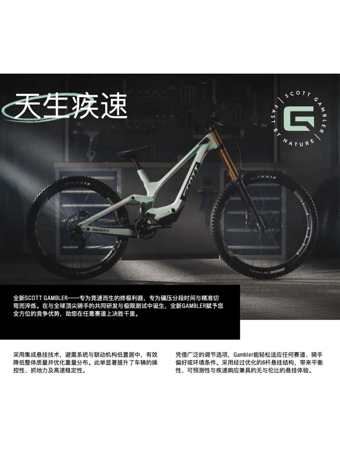 附录全新GAMBLER技术白皮书