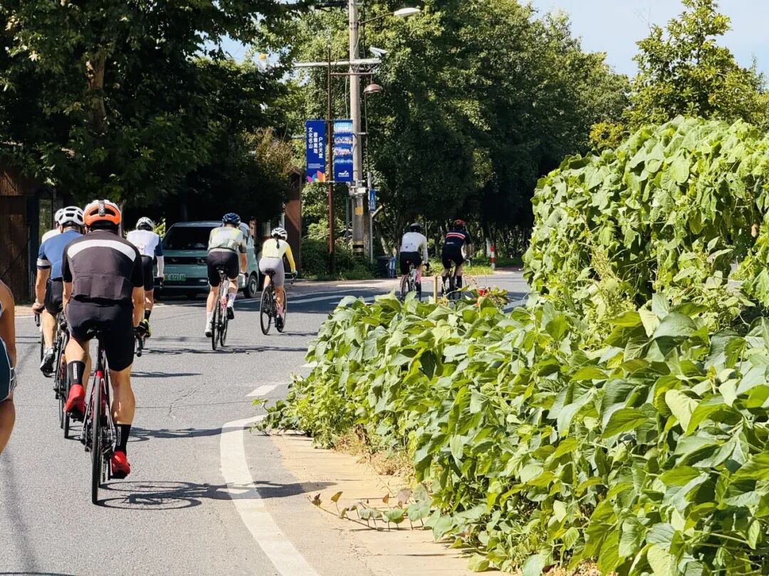 MCC816G530双桥绕圈318对讲机试用