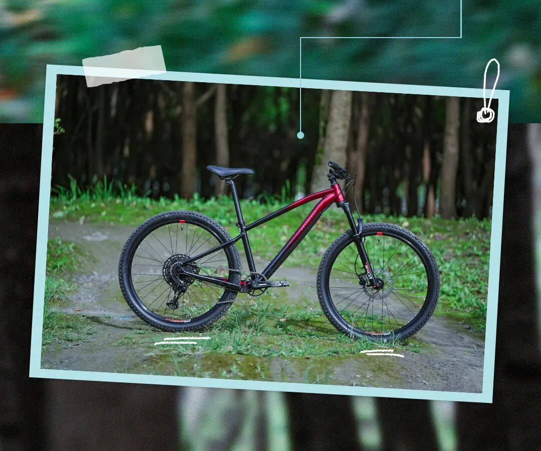 [2024-09-12]与风相逐向新出发