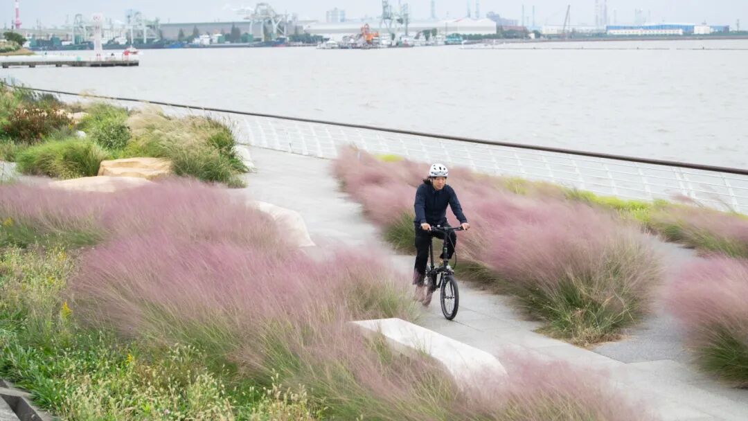 [2025-10-29]轻快之下的平衡艺术2025大行ArcherP8折叠车评测