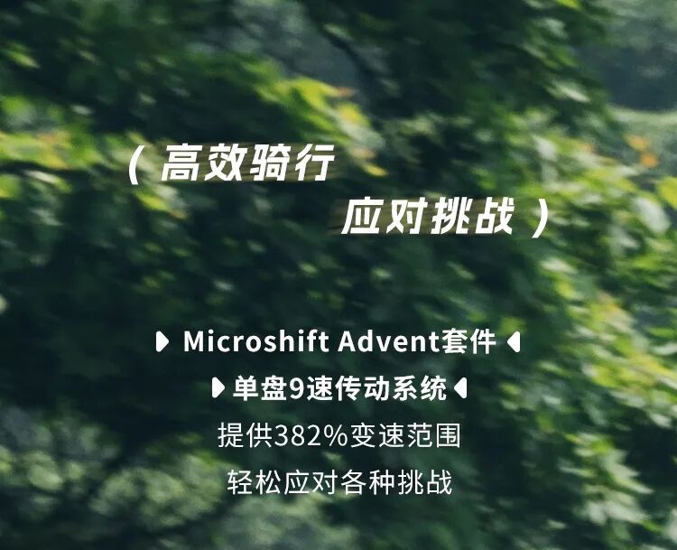 [2024-08-29]一脚骑进山野里