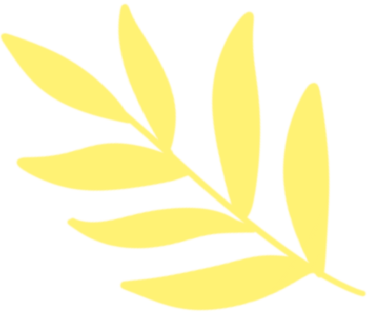 [2025-07-18]夏日骑遇DAHON大行折叠车带你轻松解锁清凉行