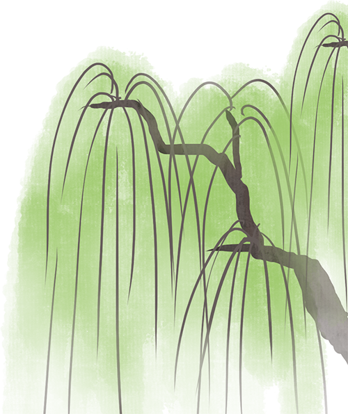 [2024-09-13]SHOCKWAVE105HD24S冲击波105HD24S全新上市