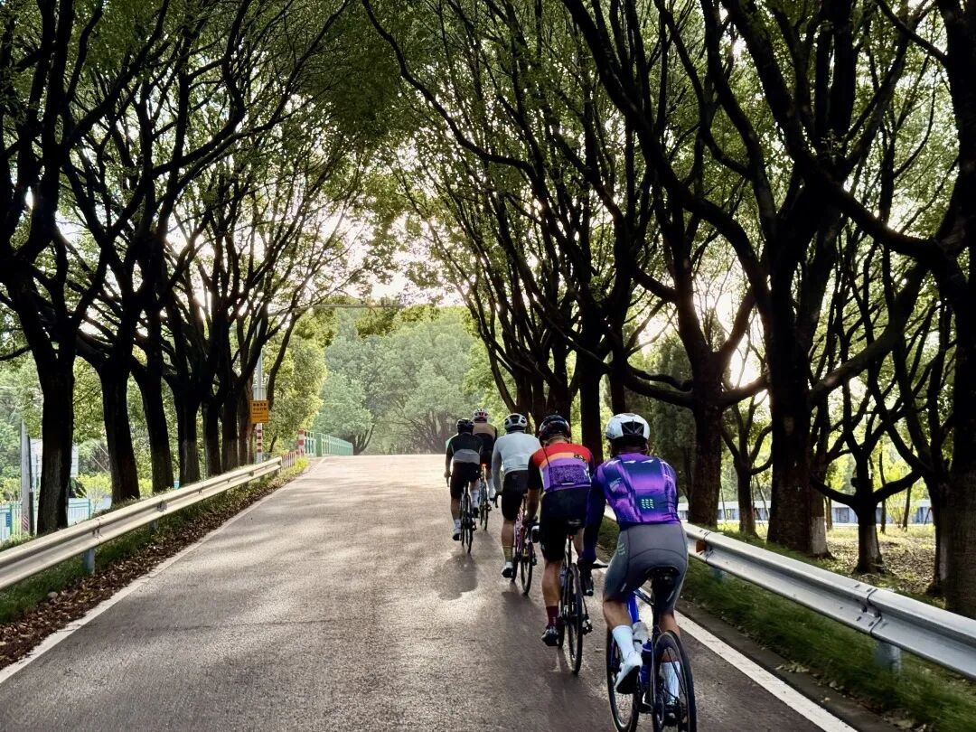 MCC816G530双桥绕圈318对讲机试用