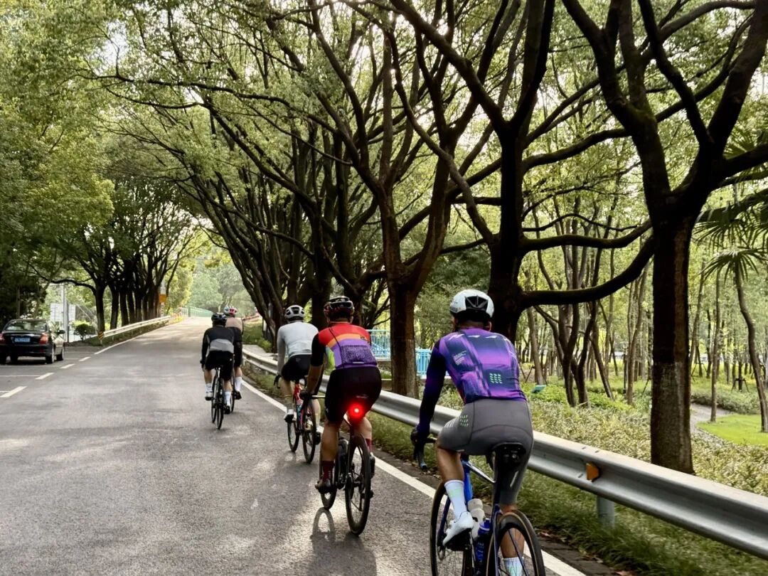 MCC724G530晨骑苗江路绕圈