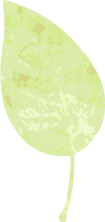 [2025-06-06]FUN RIDER 风锐 16全新车款上市