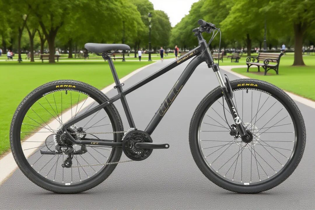 [2025-08-08]BAYONET刺刀1HD24S275新款上市