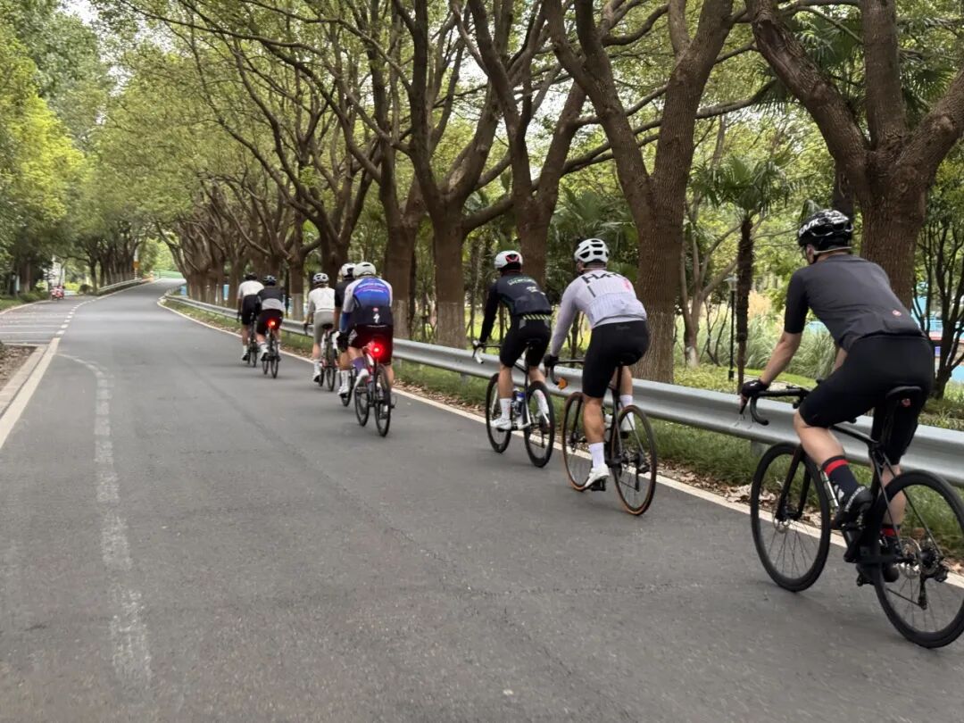 MCC816G530双桥绕圈318对讲机试用