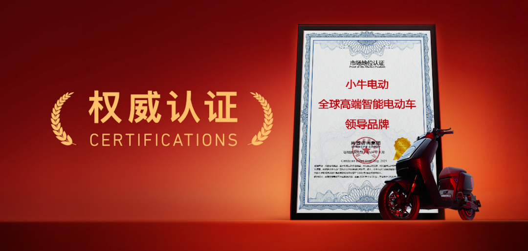 [2024-10-25]你太会玩了