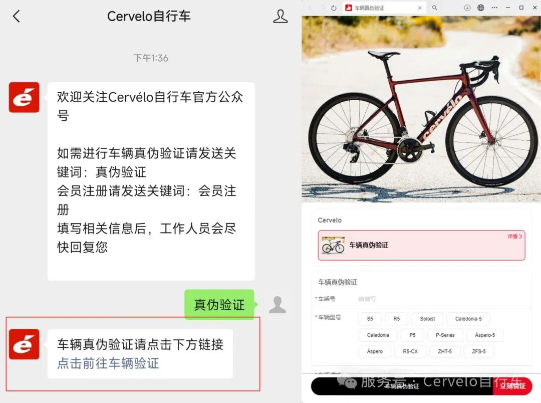 [2025-02-27]Cervelo官方小程序正式上线行货验证车架号查询服务全面开启