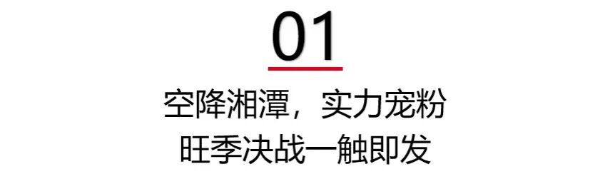 [2023-08-31]创意宠粉豪礼大放送旺季大作战五星钻豹全力豹击终端