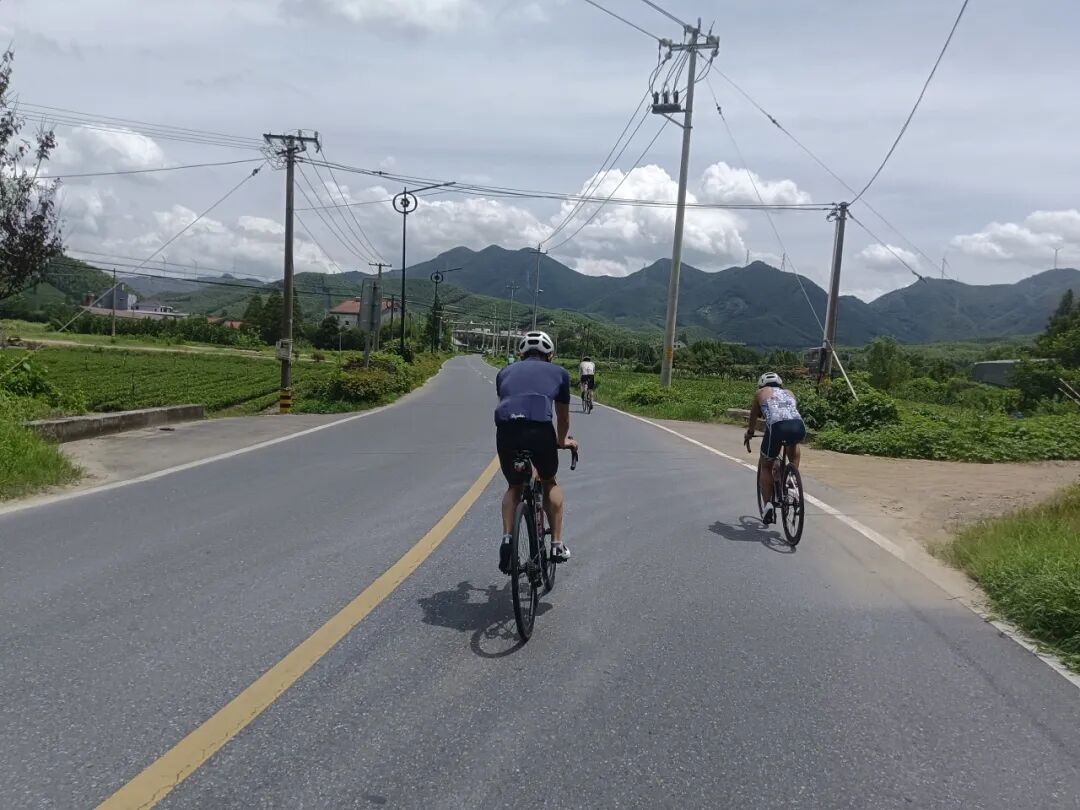 MCC816G530双桥绕圈318对讲机试用