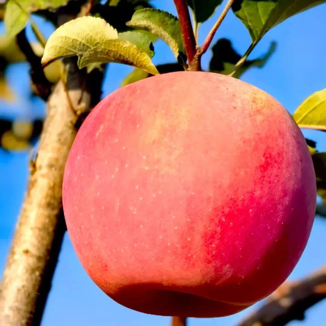 [2025-10-22]赛道介绍丨TREK100北京站