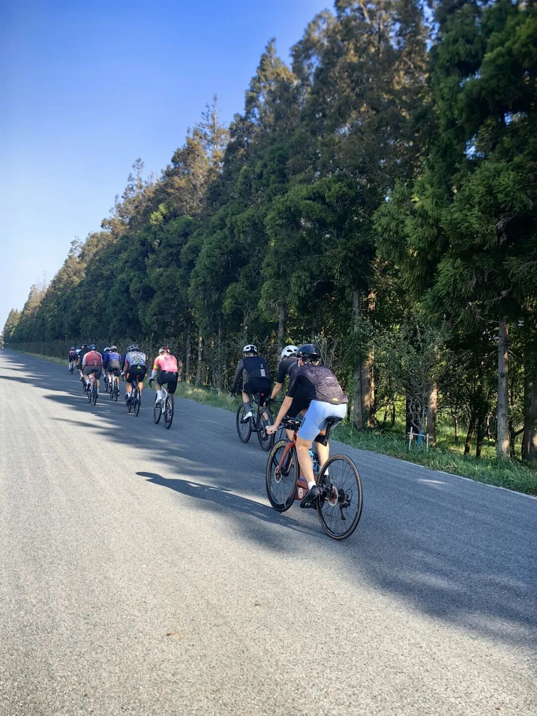 MCCPowster丨830G530七夕绘爱心骑行袜福利送送送