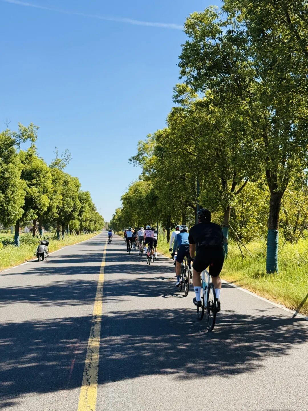 MCC长三角活动丨9697莫干山度假骑游