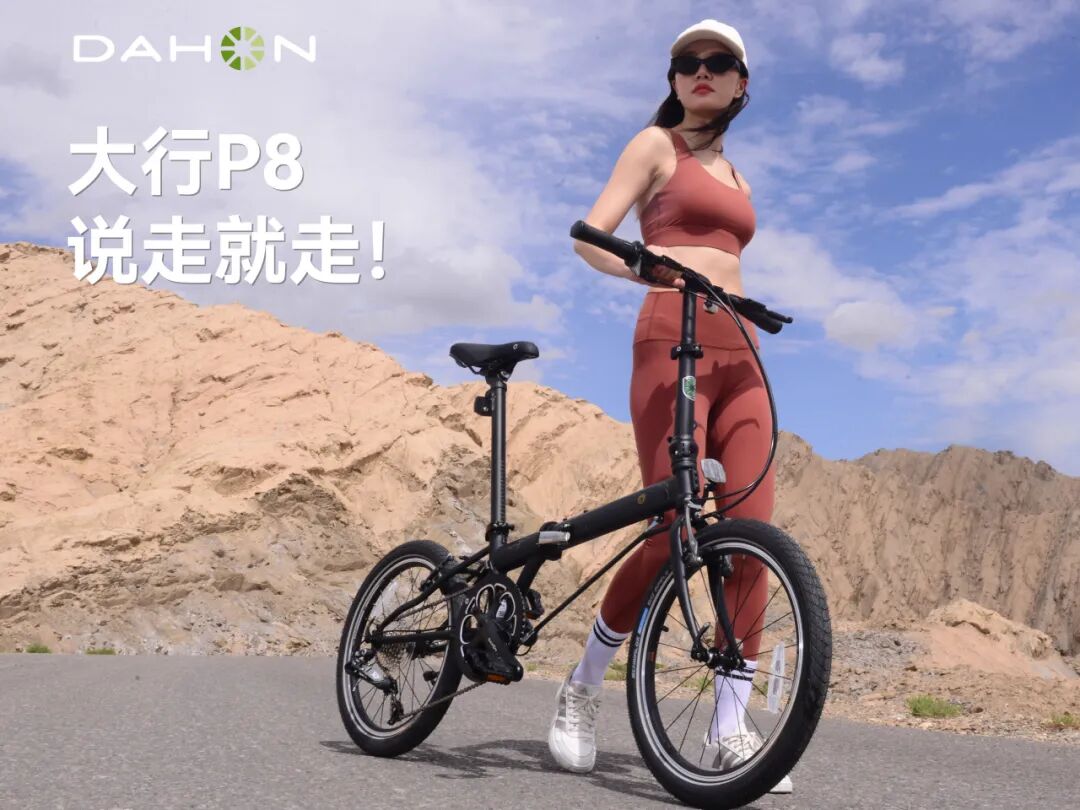 [2025-10-23]P8新手必看QampA折叠骑行检查一篇搞定