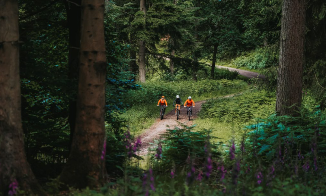 [2025-08-04]单盘征服越野新生美利达挑战者600