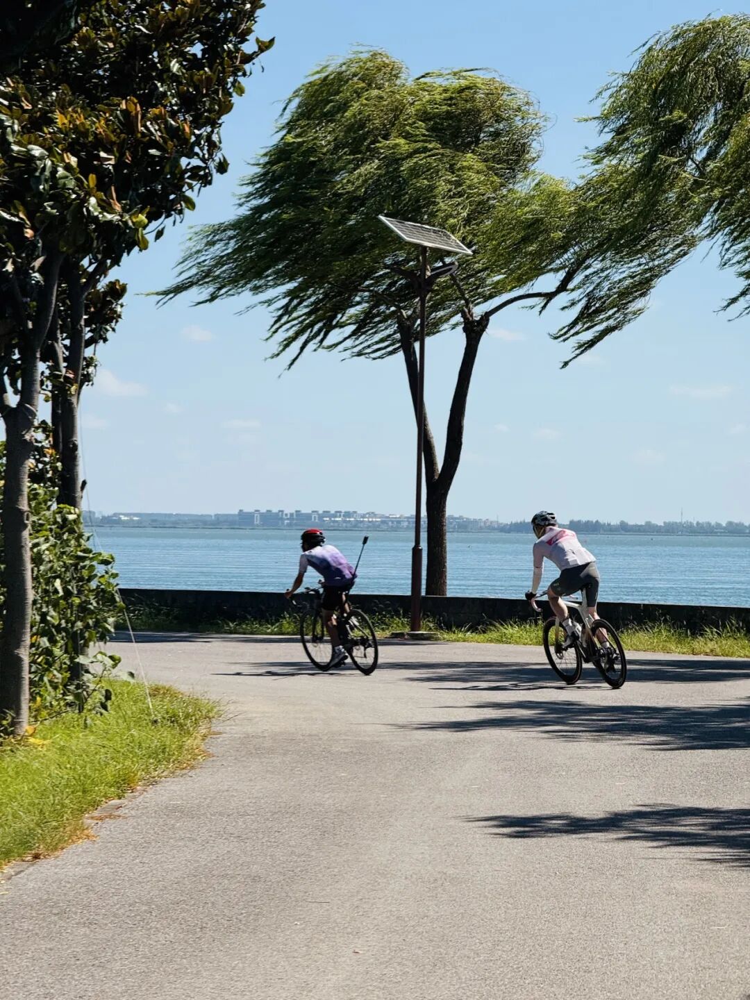 MCC长三角活动丨9697莫干山度假骑游