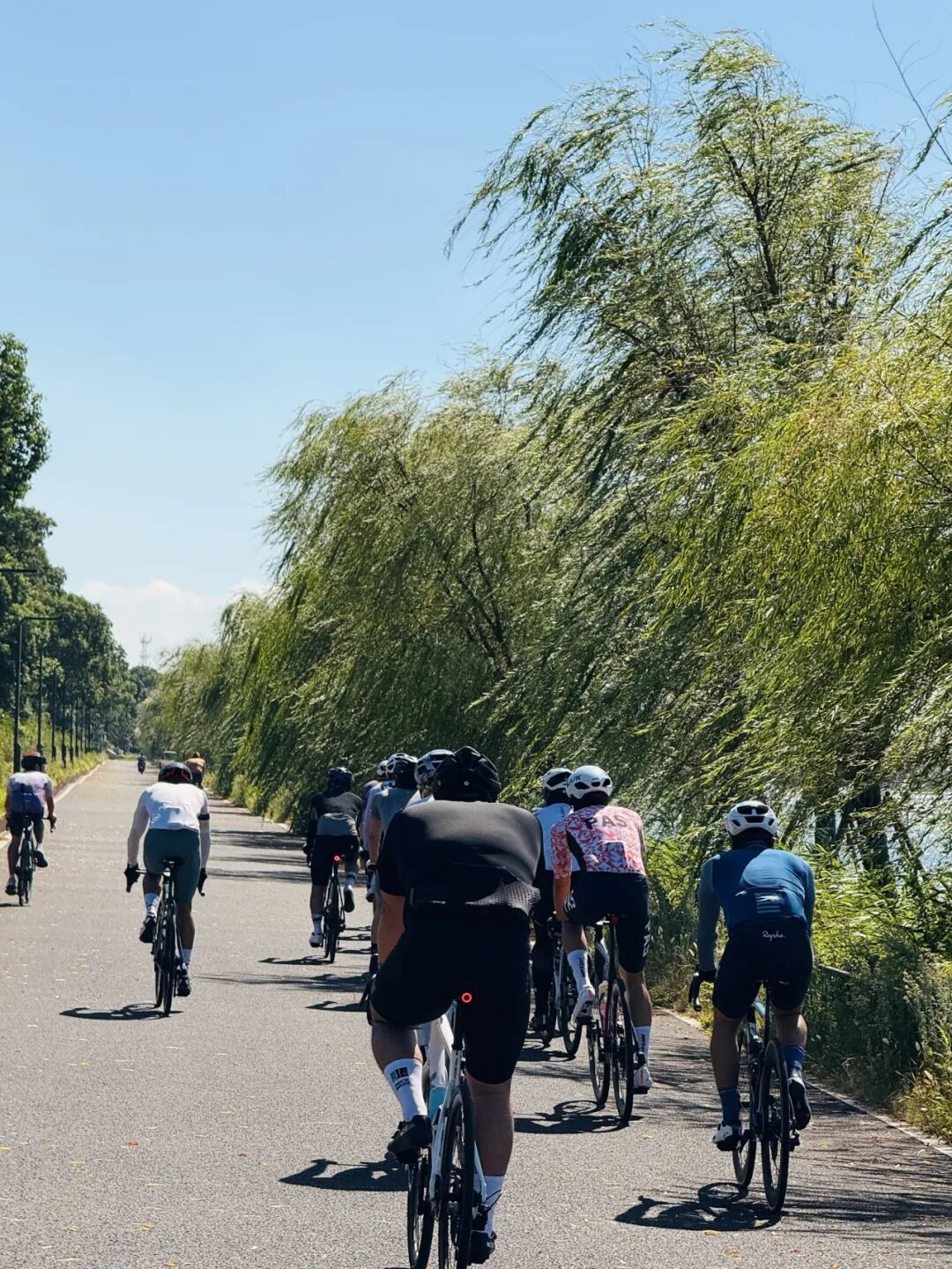 MCC长三角活动丨9697莫干山度假骑游