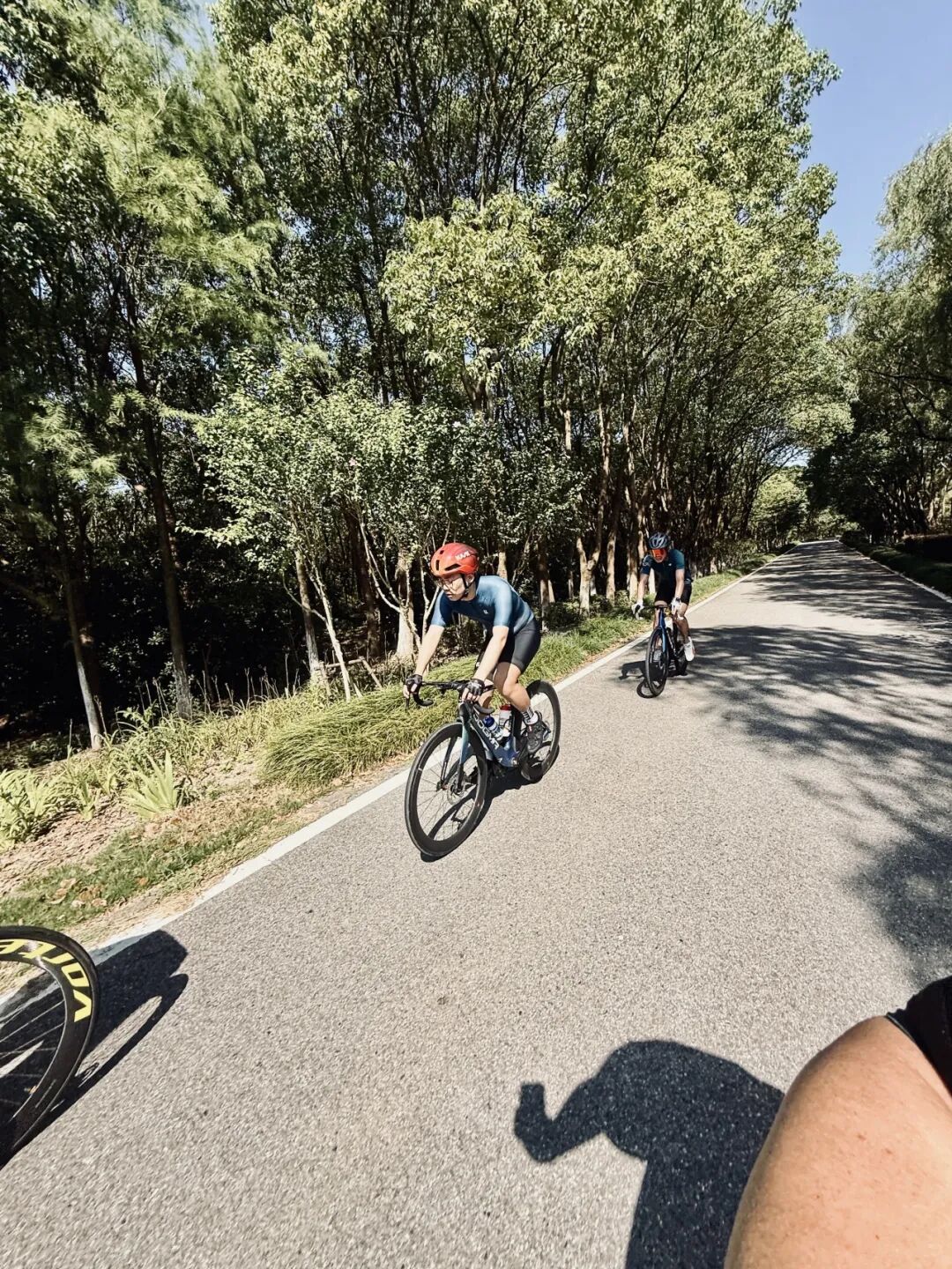 MCC710G530龙腾大道晨骑