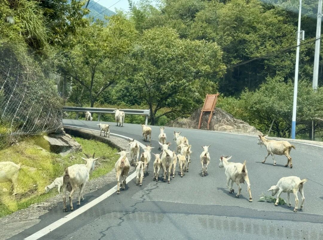 MCC89G530浏河阅兵台看日出